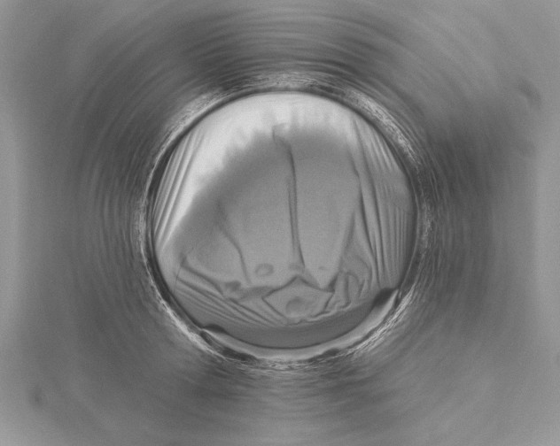 X0000115430802200912020923