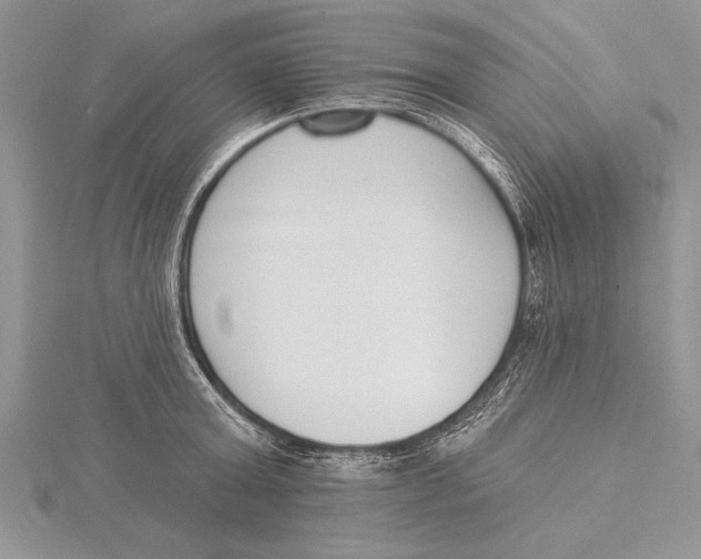 X0000115430803200912020923