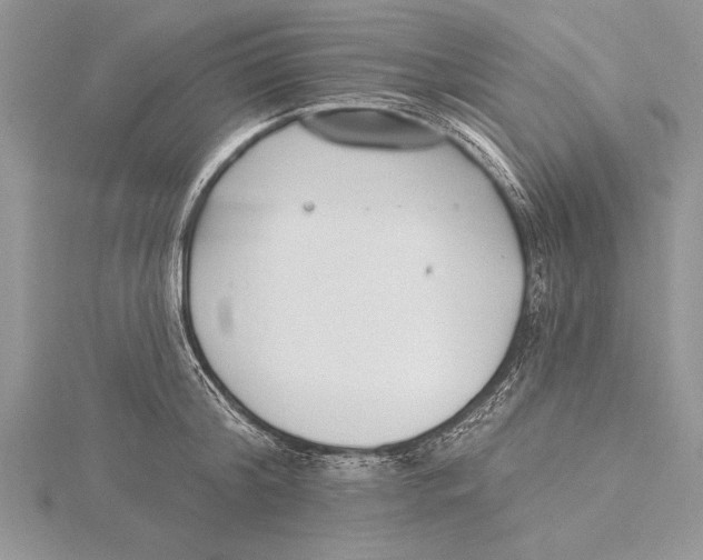 X0000115430804200912020923