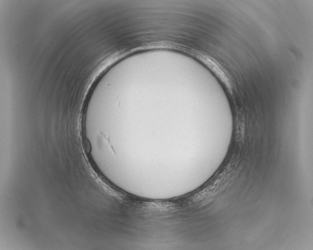 X0000115430805200912020923