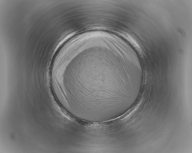 X0000115430806200912020923