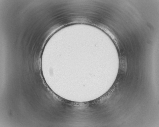 X0000115430807200912020923