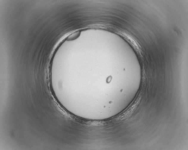 X0000115430808200912020923