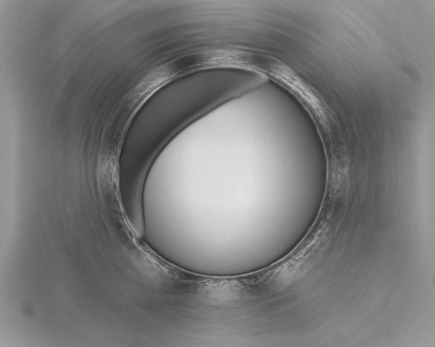 X0000115430809200912020923