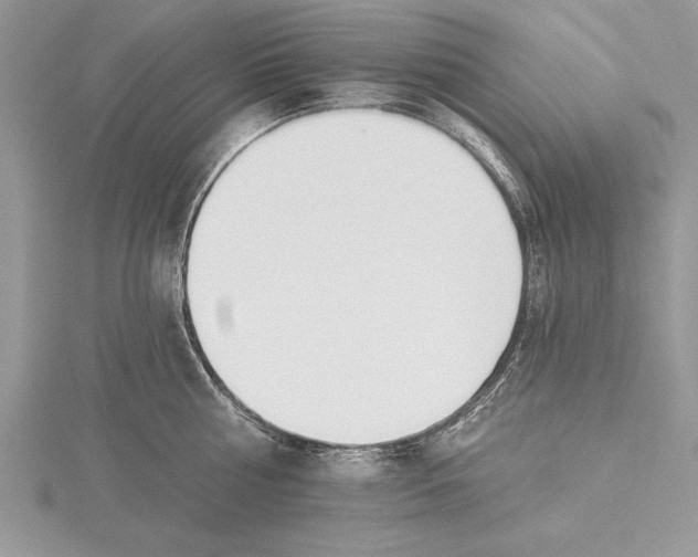 X0000115430810200912020923