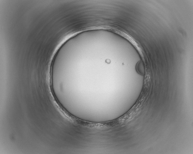 X0000115430811200912020923