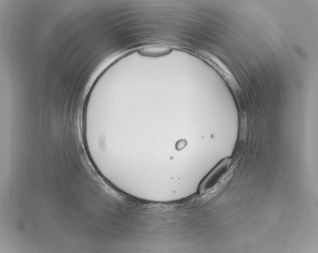 X0000115430812200912020923