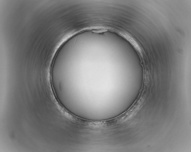 X0000115430813200912020923