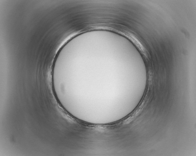 X0000115430814200912020923