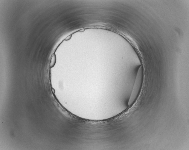 X0000115430816200912020923