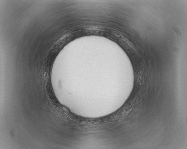 X0000115430821200912020922