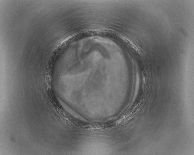 X0000115430822200912020922