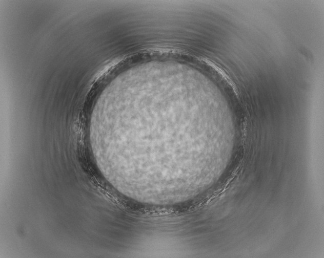 X0000115430823200912020922