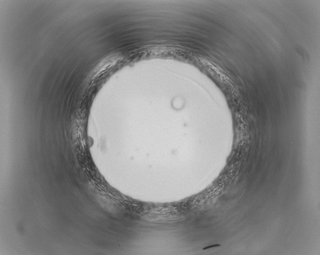 X0000115430824200912020922