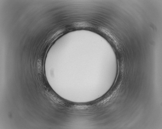 X0000115430825200912020922