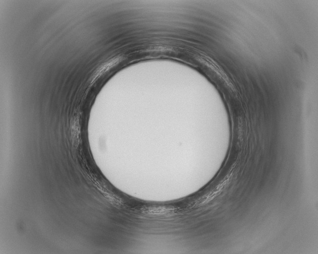 X0000115430826200912020922