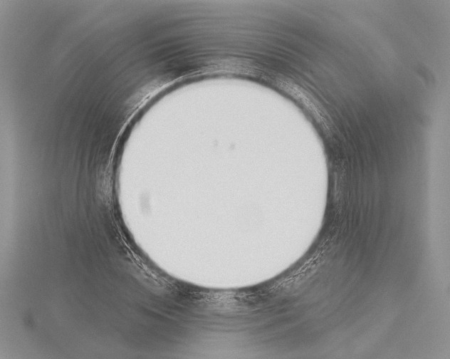 X0000115430828200912020922