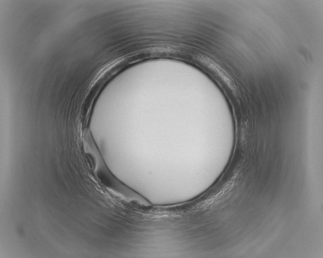 X0000115430829200912020922