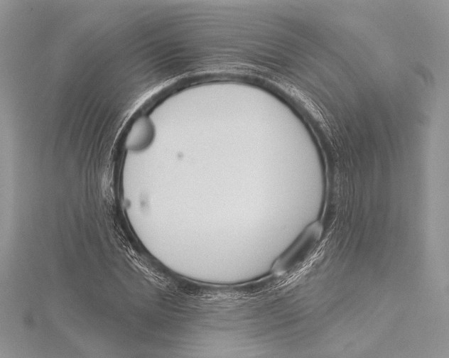 X0000115430830200912020922