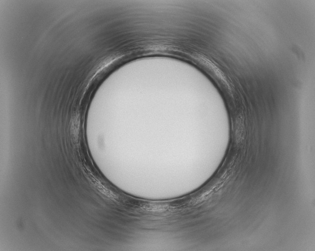 X0000115430831200912020922