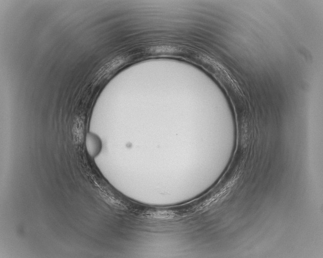 X0000115430833200912020922