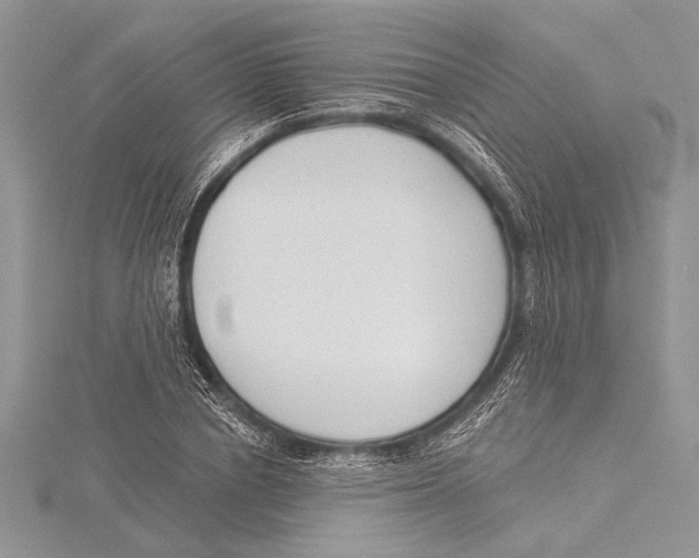 X0000115430834200912020922