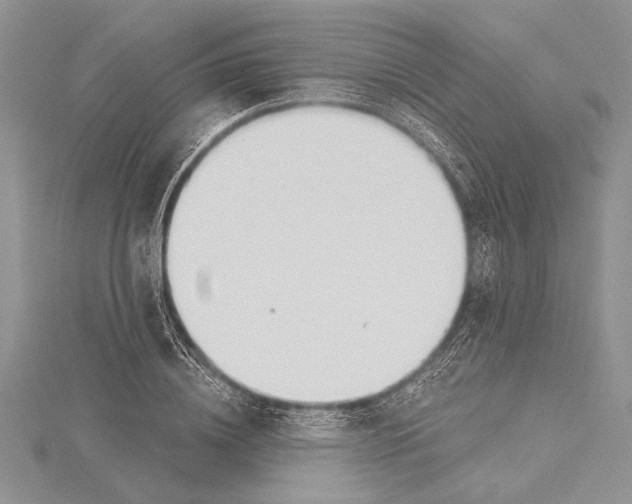 X0000115430836200912020922