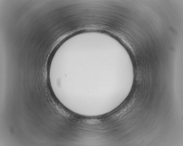 X0000115430837200912020922