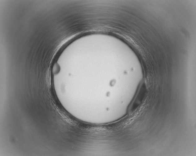 X0000115430838200912020922