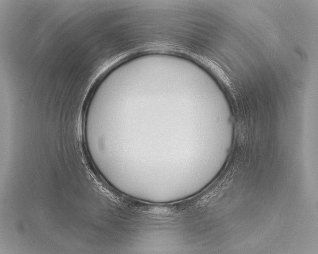 X0000115430839200912020922