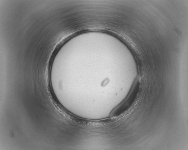 X0000115430840200912020922