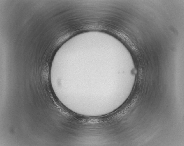 X0000115430841200912020922