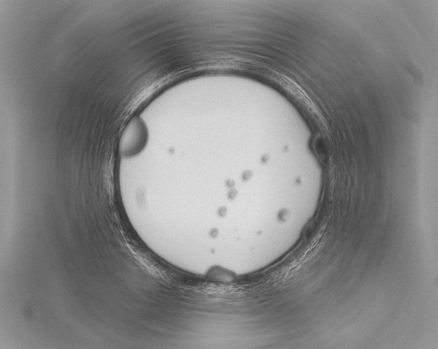 X0000115430842200912020922