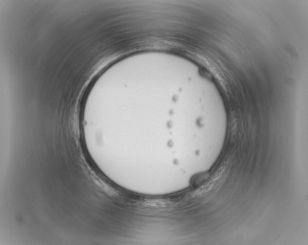 X0000115430843200912020922