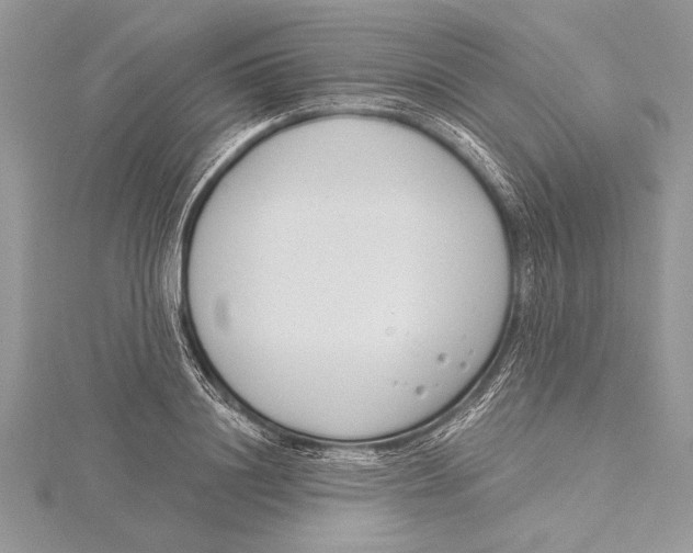 X0000115430844200912020922