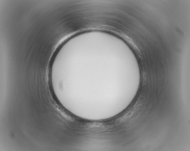 X0000115430846200912020923