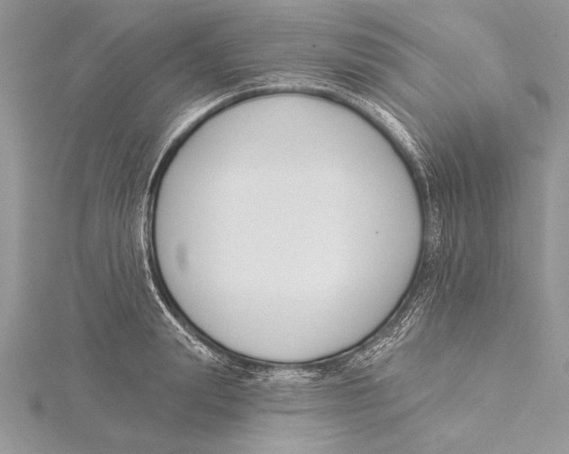 X0000115430847200912020923