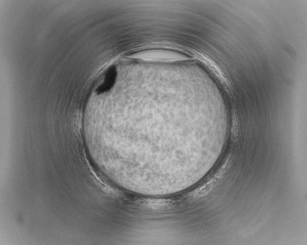 X0000115430849200912020923