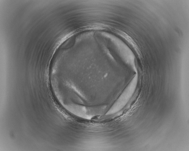 X0000115430850200912020923