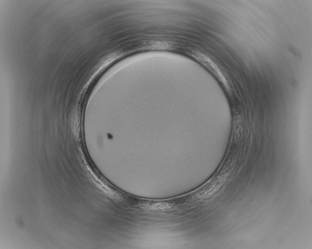 X0000115430851200912020923