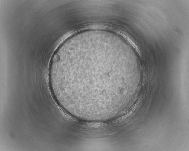 X0000115430853200912020923