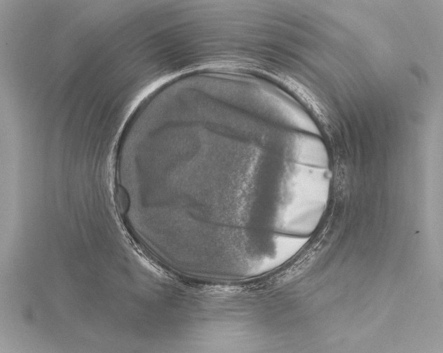 X0000115430854200912020923