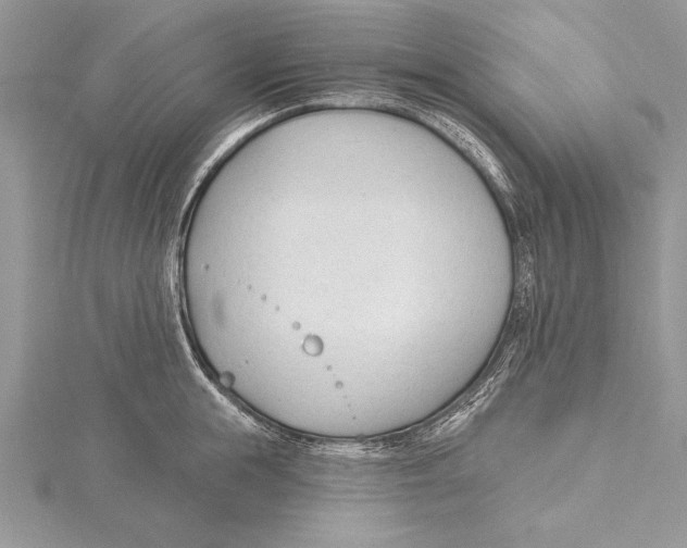 X0000115430855200912020923