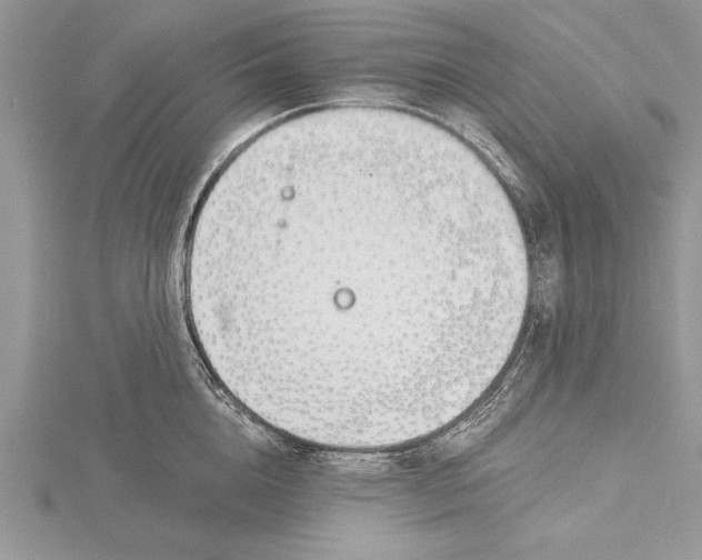 X0000115430856200912020923