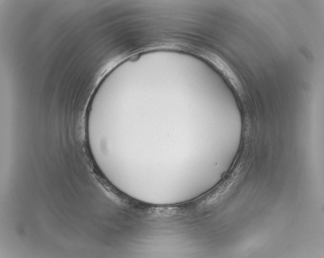 X0000115430858200912020923