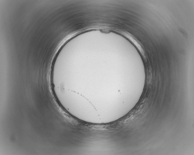 X0000115430861200912020923