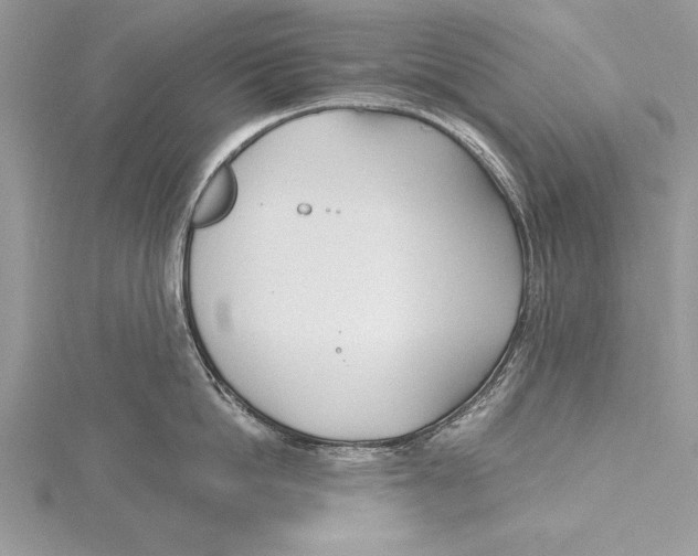 X0000115430862200912020923