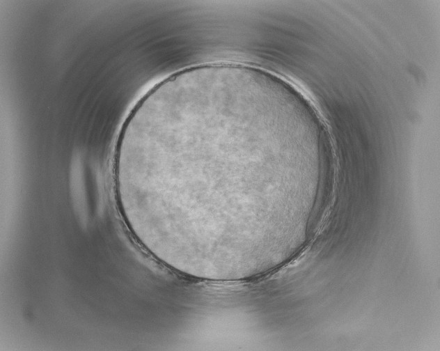 X0000115430864200912020923