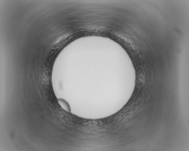 X0000115430869200912020922