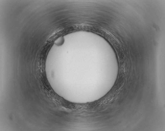 X0000115430870200912020922